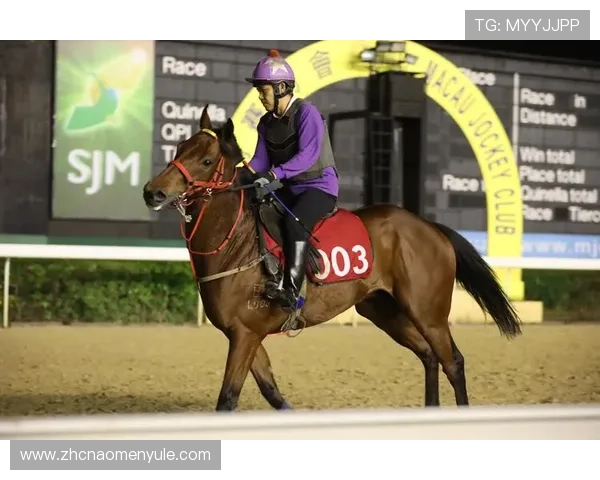 澳门赛马最新赛事报名指南，参赛条件及流程详细介绍